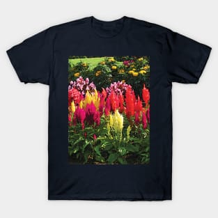 Garden in Elizabeth Park T-Shirt